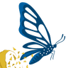 BDH Logo
